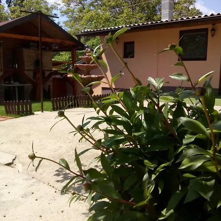 Apartment Gorica *