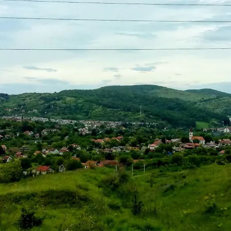 Apartment Gorica Vrdnik